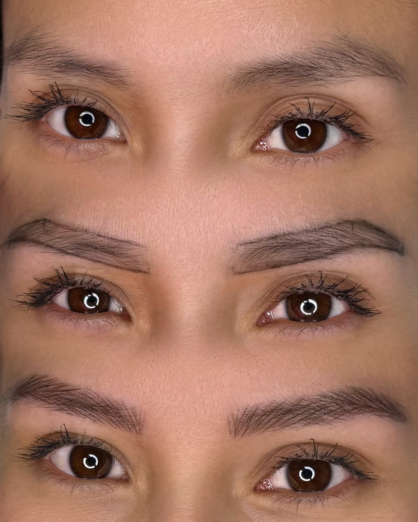 Evolución de un trabajo de cejas en tres fases