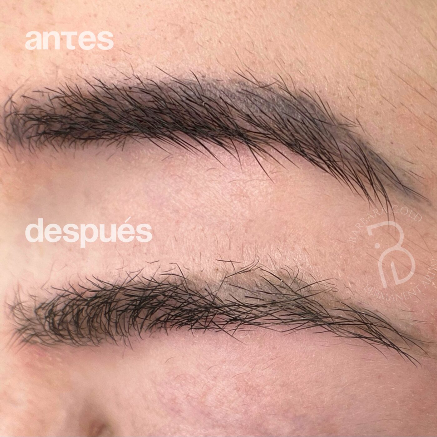 Cejas antes y después: de un pigmento denso a un pelo a pelo natural