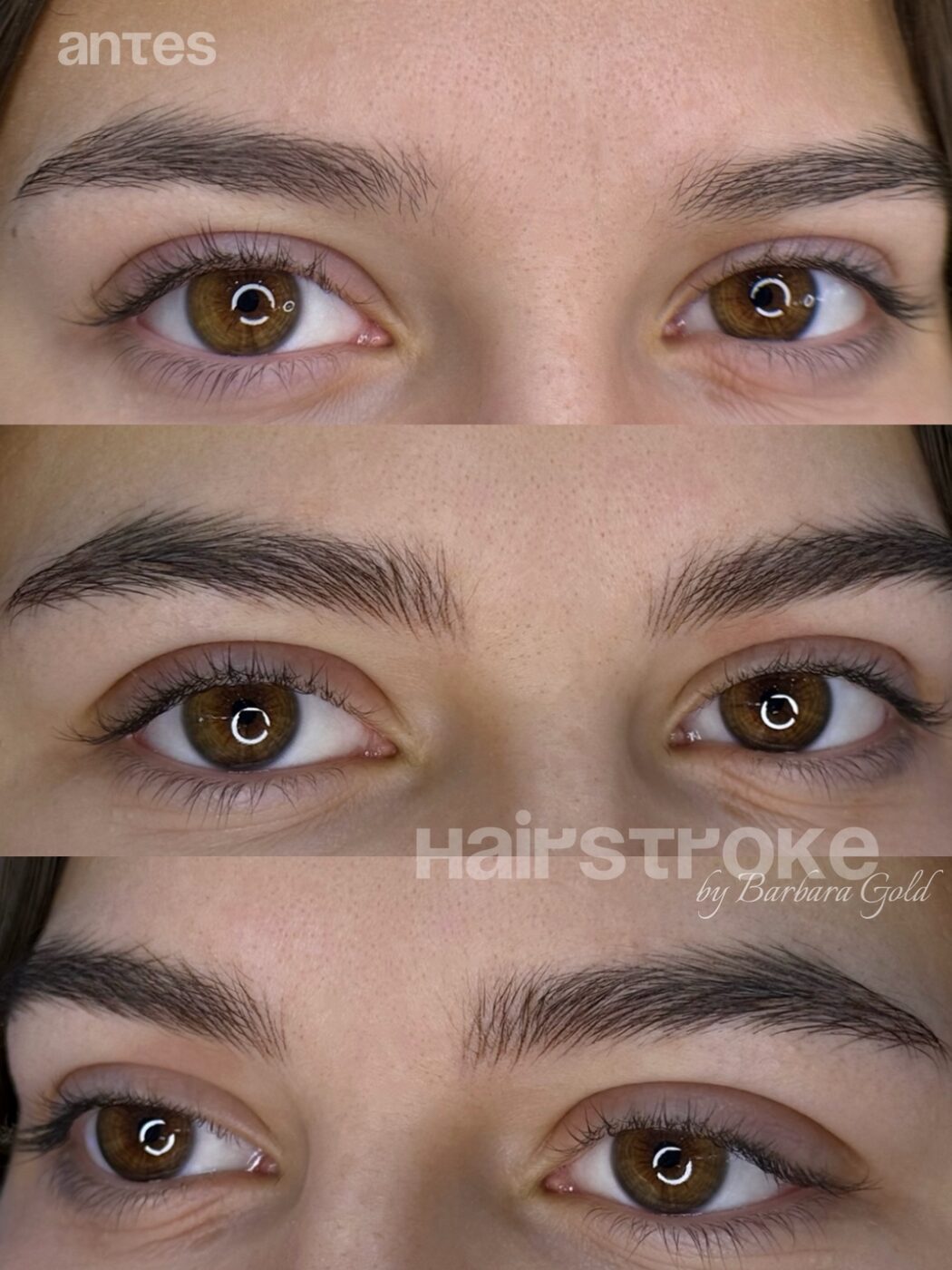 Cejas hairstroke en tres fases, trabajo premiado en el campeonato The Illusion