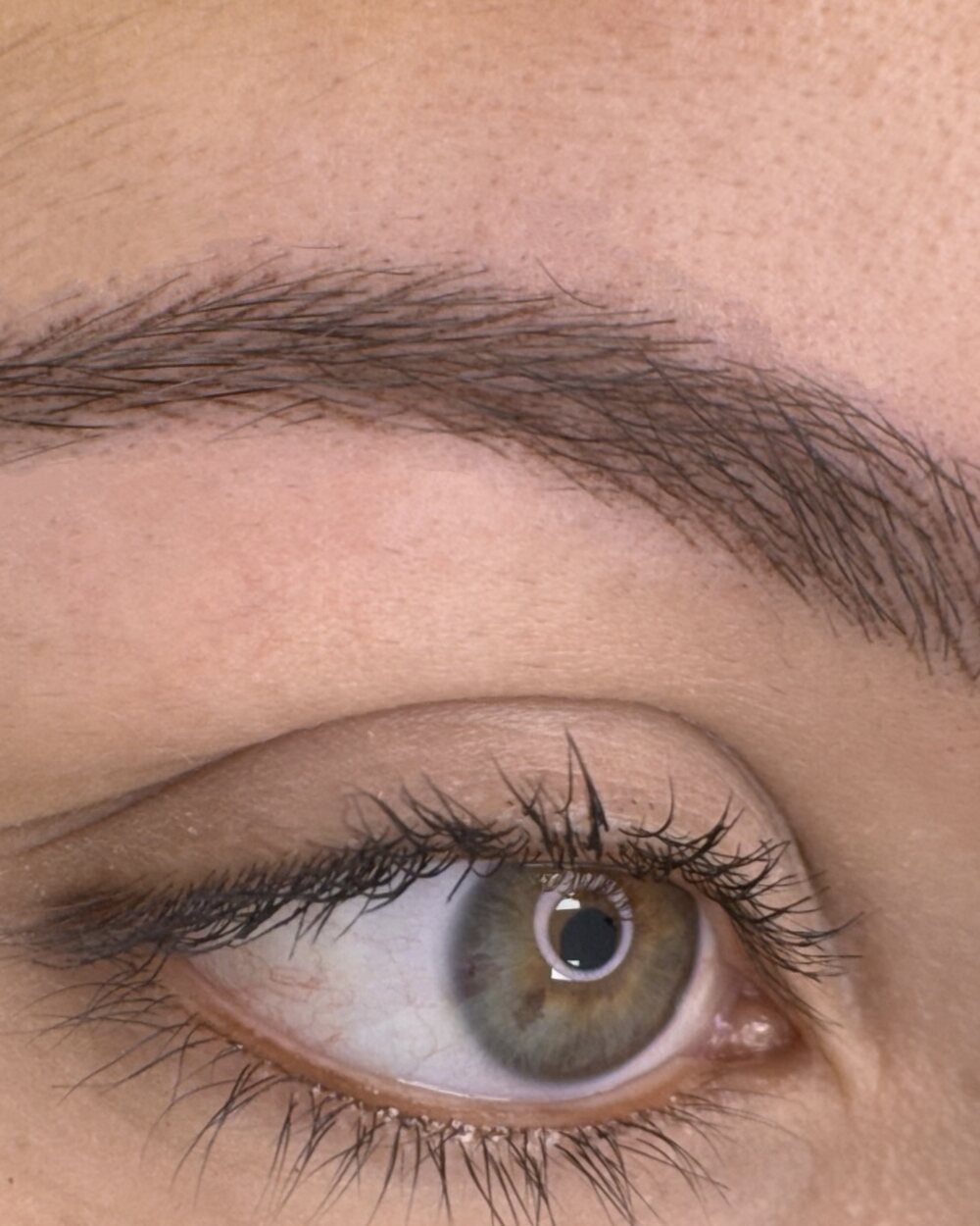 Cejas con micropigmentación pelo a pelo, trazo a trazo
